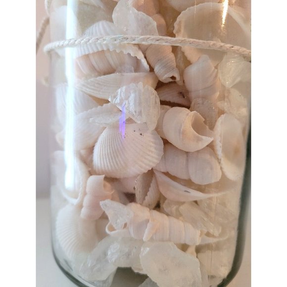 Pineapple Coconut Scented Seashell Jar Home Decor - Picture 3 of 4
